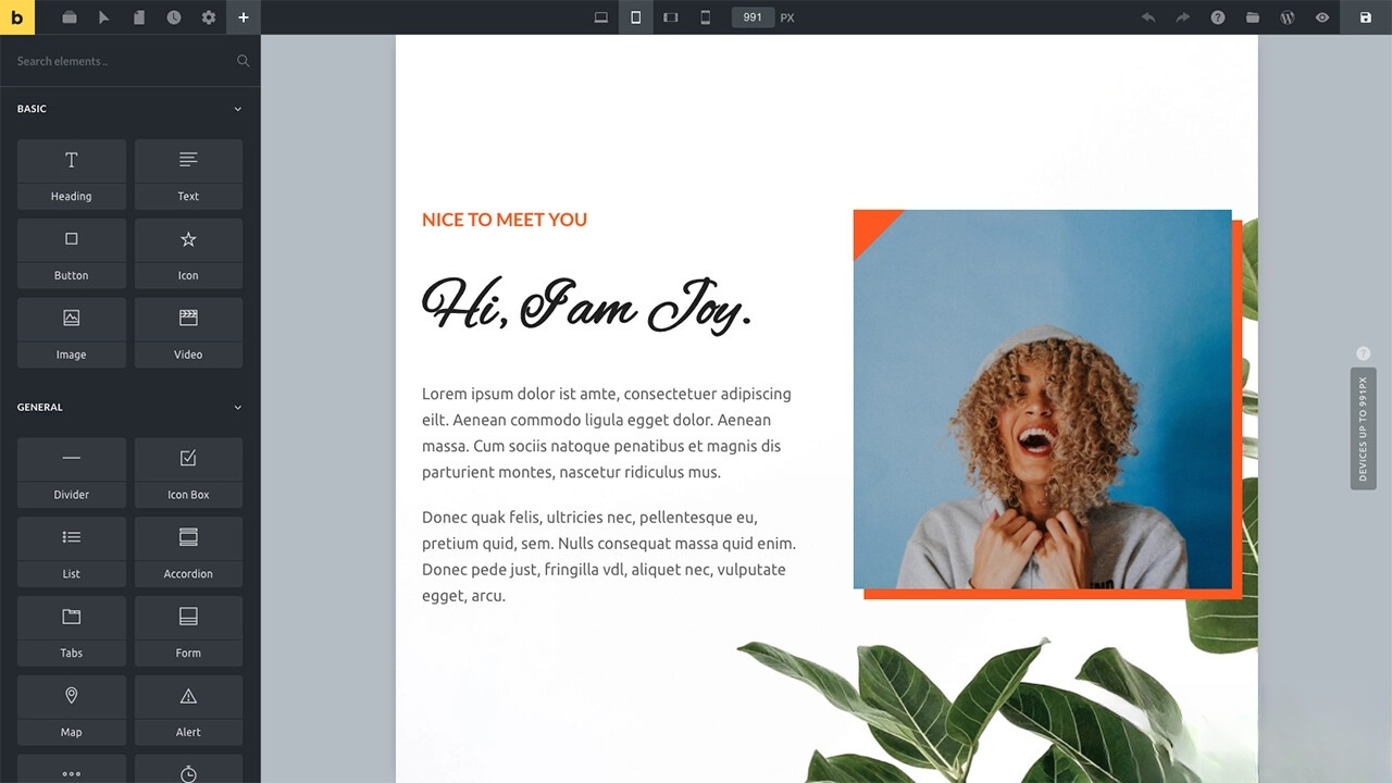WordPress主题Bricks v1.9 破解版-夜猫资源俱乐部