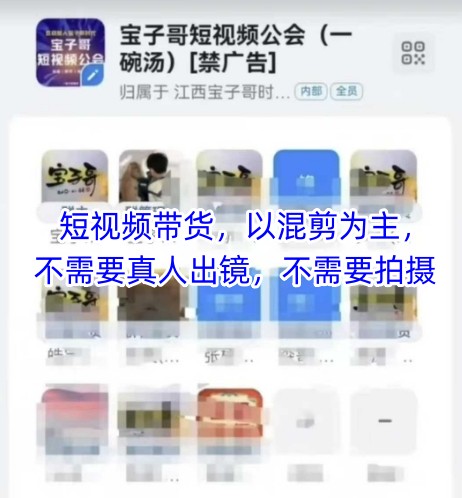 宝子哥头部团队短视频带货，以混剪为主，不需要真人出镜，不需要拍摄【更新26年3月】-夜猫资源俱乐部