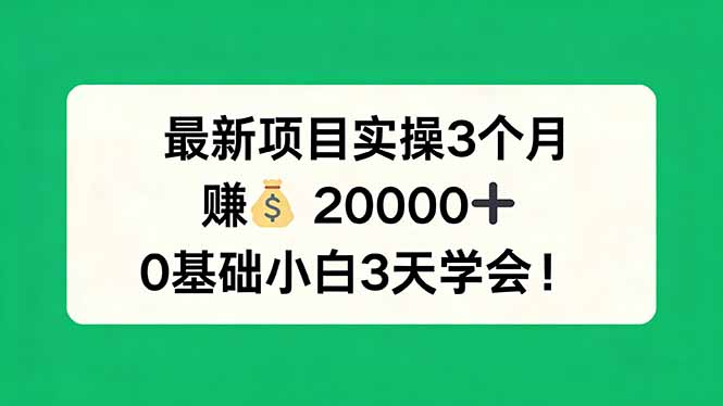 最新项目实操3个月，赚钱20000+，0基础小白3天学会！-夜猫资源俱乐部