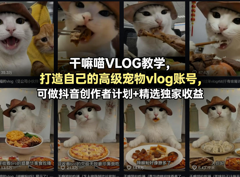 干嘛喵VLOG教学，打造自己的高级宠物vlog账号，可做抖音创作者计划+精选独家收益-夜猫资源俱乐部