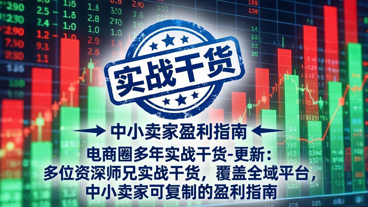 电商圈多年实战干货-更新4月：多位资深师兄实战干货，覆盖全域平台，中小卖家可复制的盈利指南-夜猫资源俱乐部