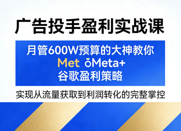 广告投手盈利实战课，月管600W预算的大神教你Meta+谷歌盈利策略，实现从流量获取到利润转化的完整掌控-夜猫资源俱乐部