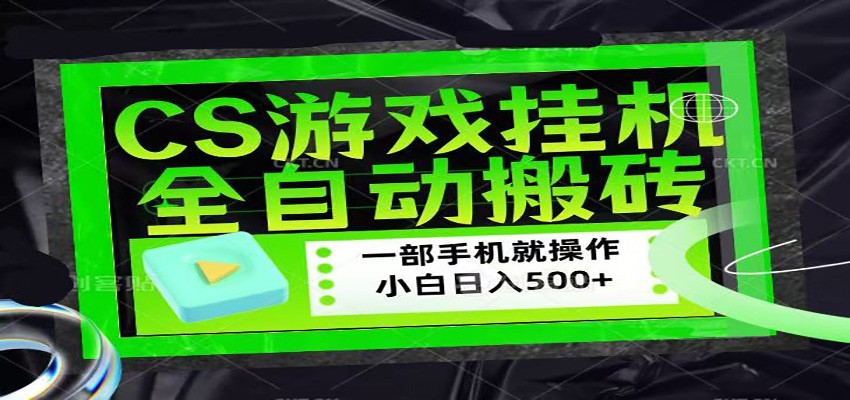 CSGO游戏挂机捡漏搬砖，超稳定的项目，带领1000+小白实现日入500+-夜猫资源俱乐部